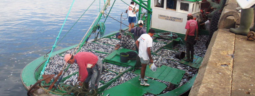 O PCP afirma aos pescadores...